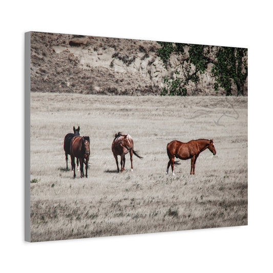 Not everything is Black and White