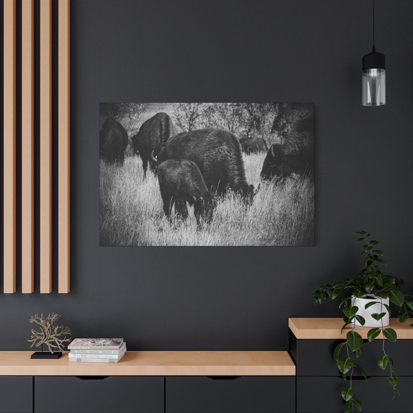 Black and White Buffalo Canvas
