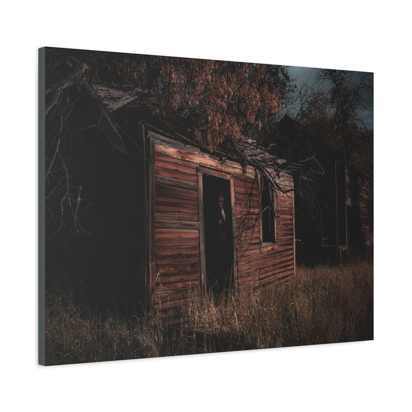 Haunting Rustic Canvas