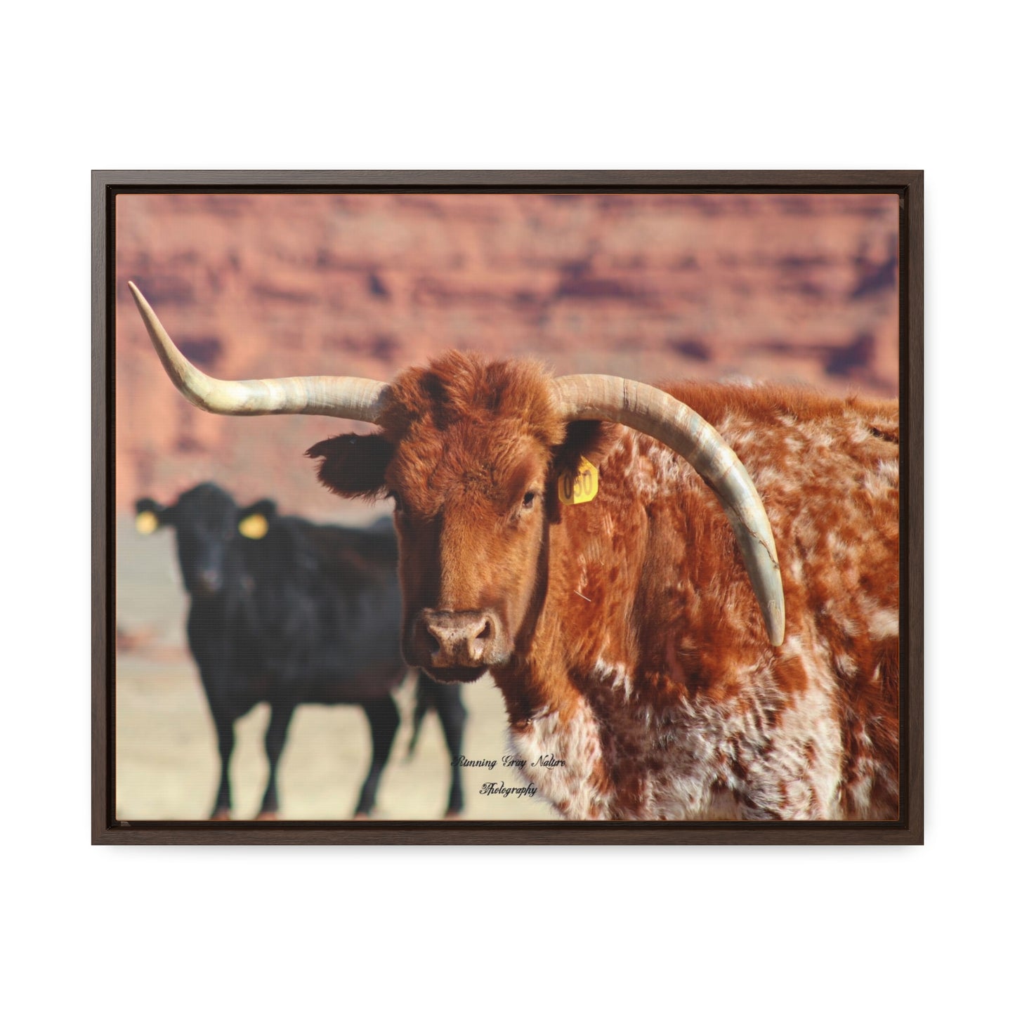 Mismatch Long Horn Gallery Canvas Wraps, Horizontal Frame