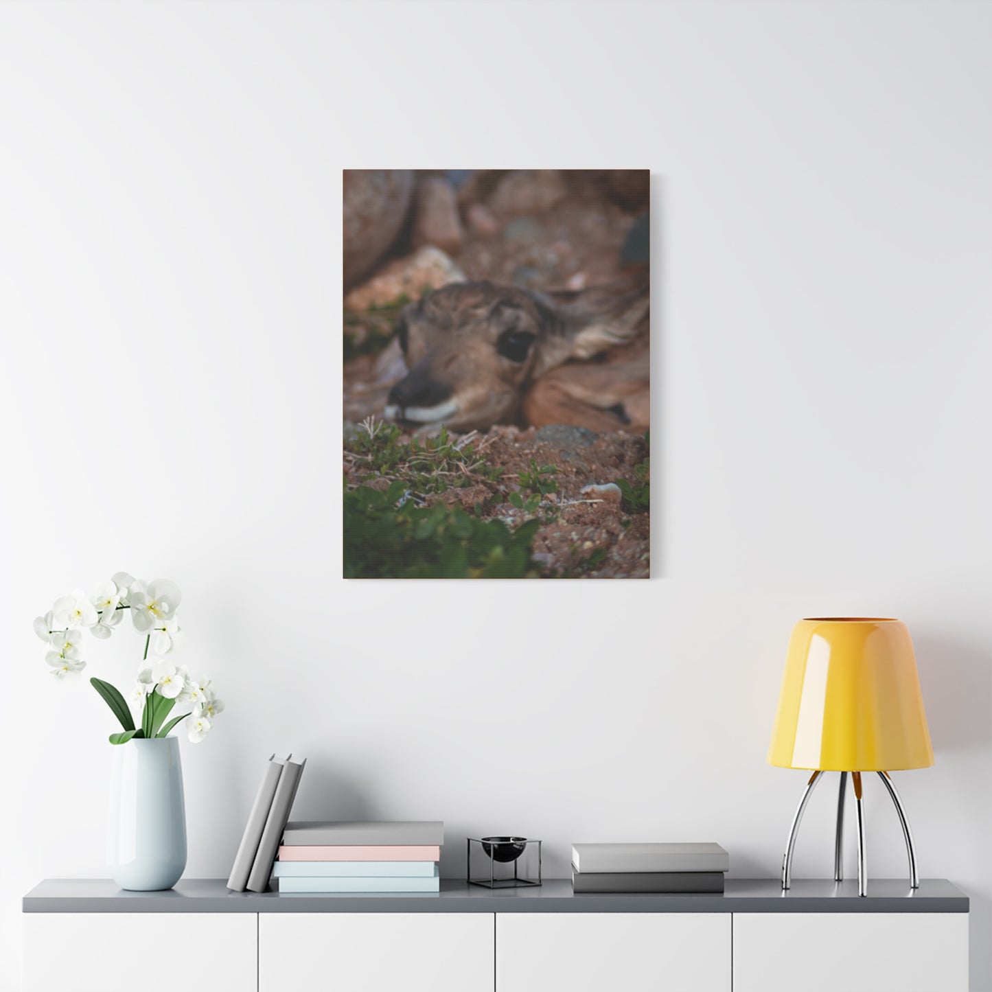 Gentle Antelope Fawn Canvas
