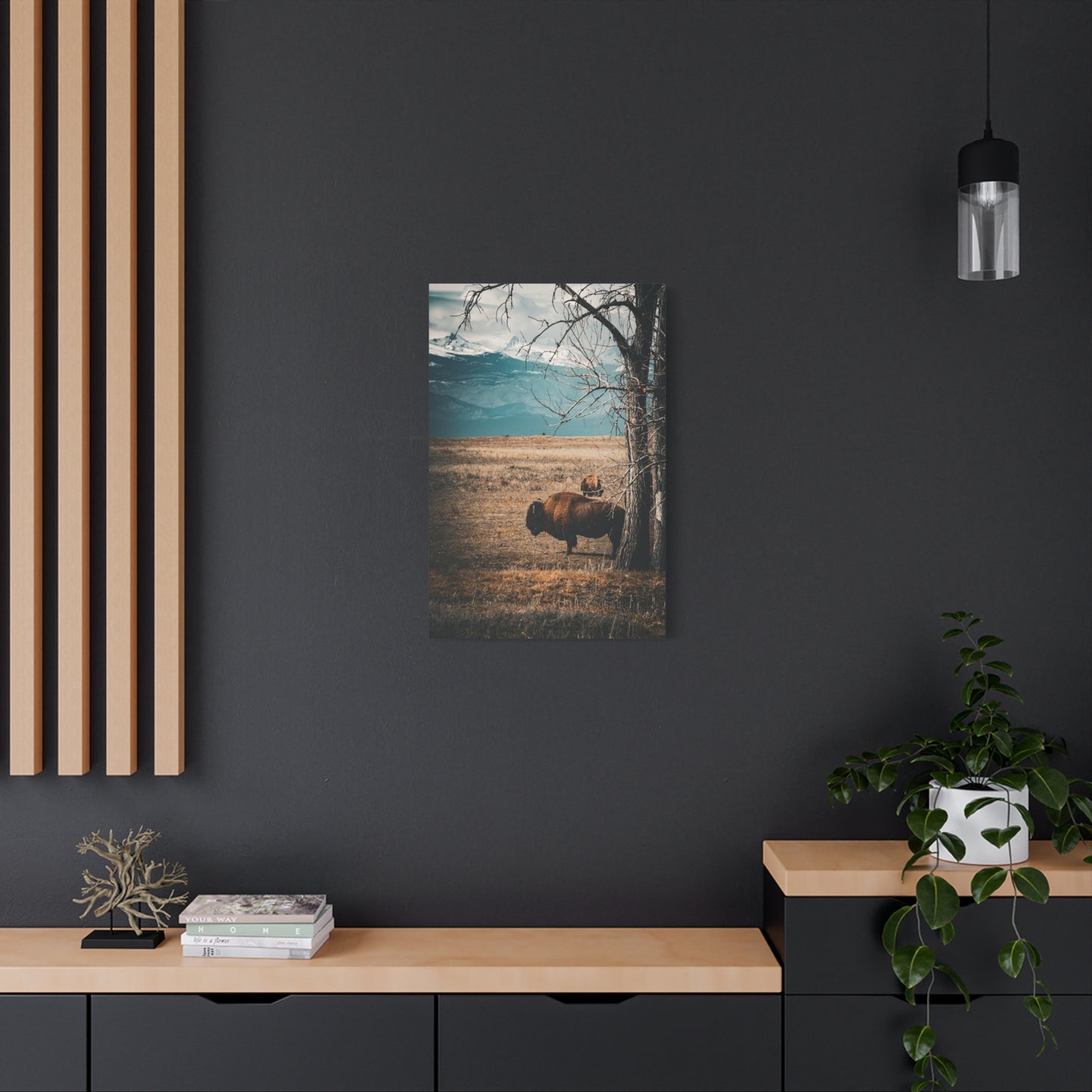 Rustic Bison Mountain Canvas