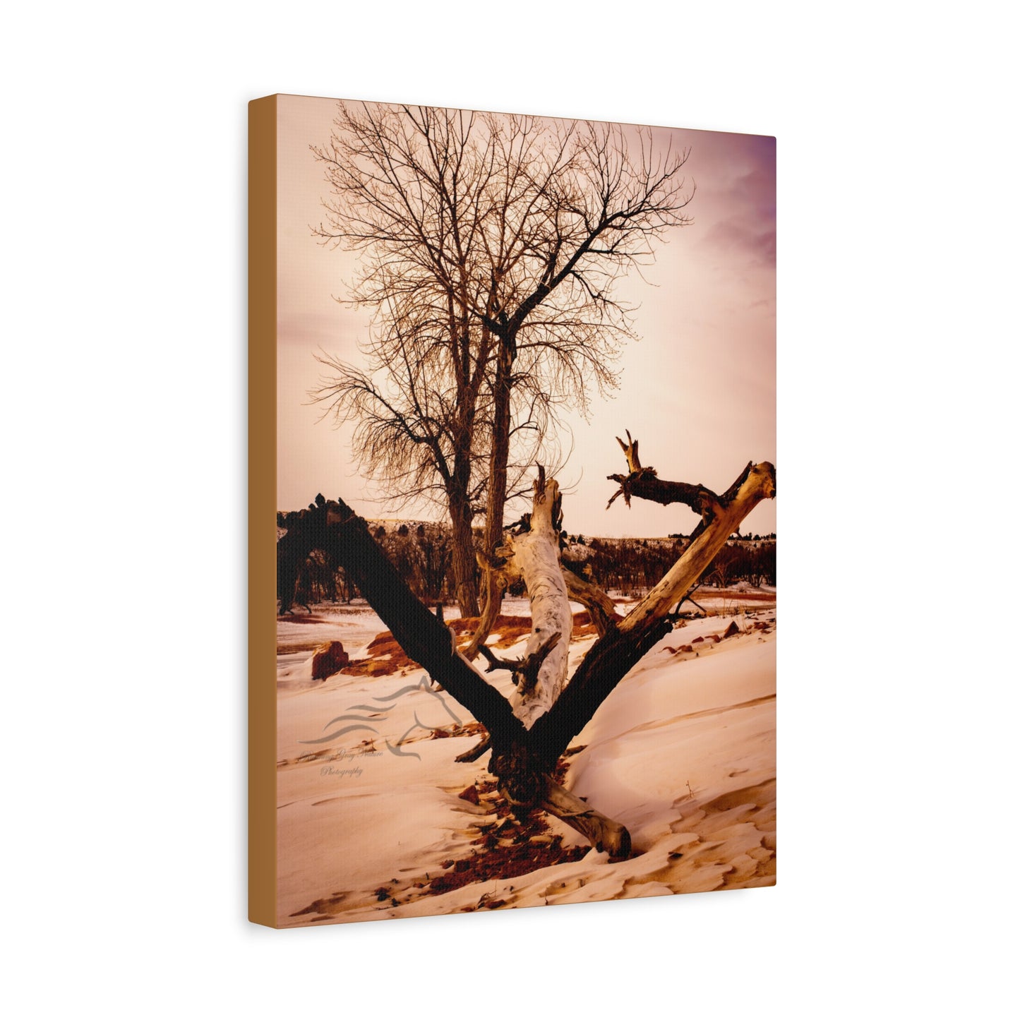 Rustic Landscape Canvas