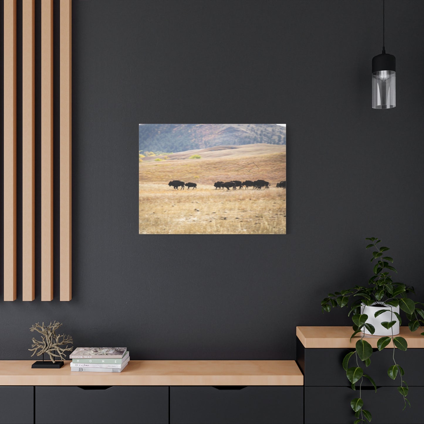 Beginning Buffalo Herd Canvas