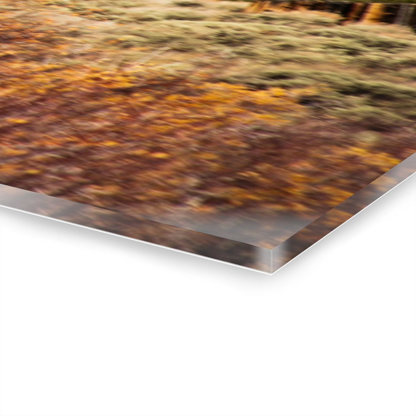 Rustic Landscape Acrylic