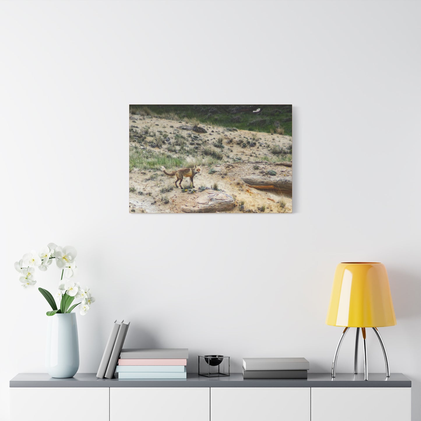 Swift fox and an Eagle