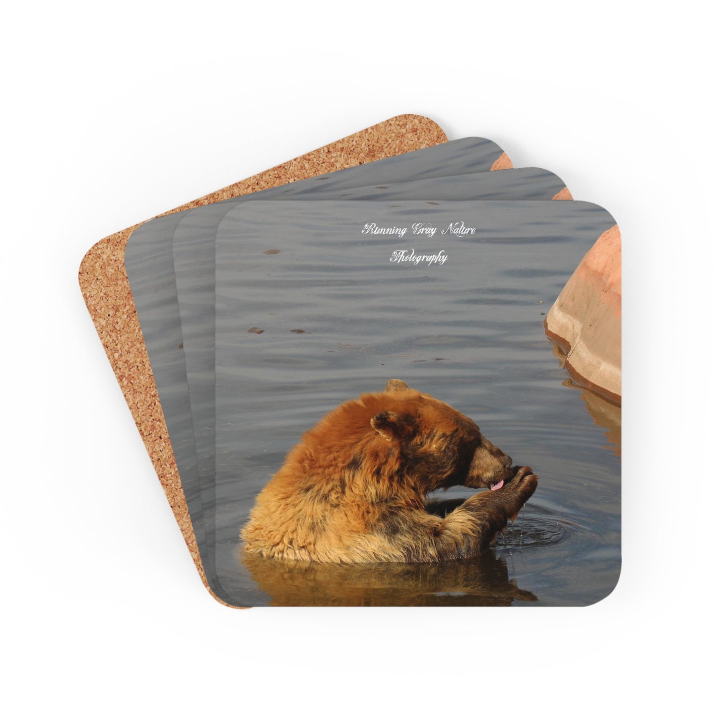 Bear in the Water Corkwood Coaster Set