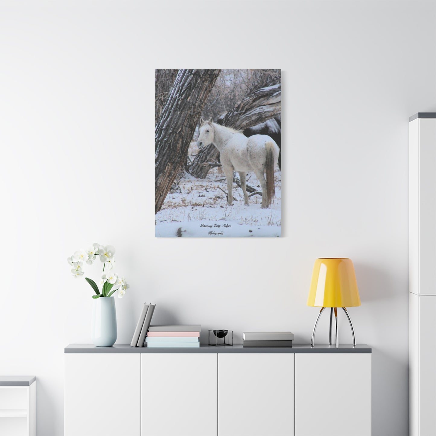 Winter White Horse Matte Canvas, Stretched, 1.25"