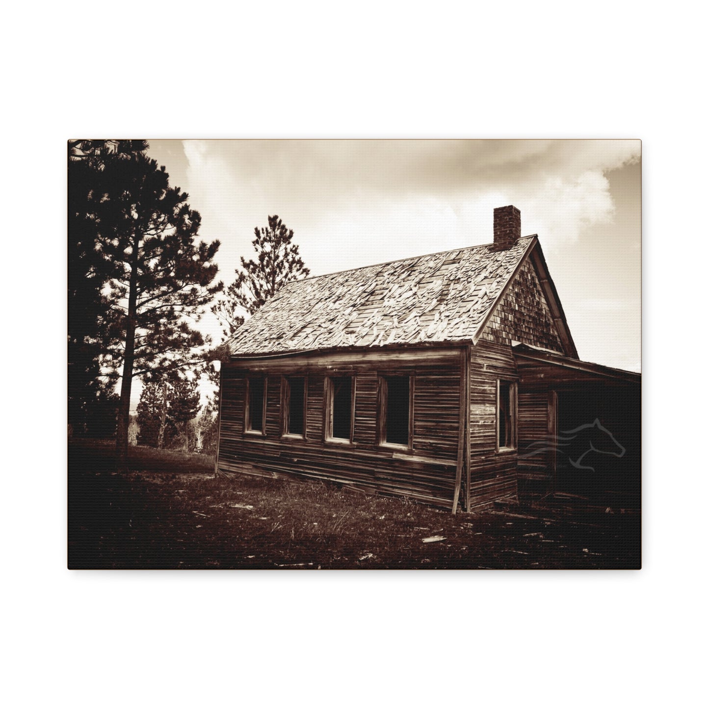 Rustic Bunk House Canvas