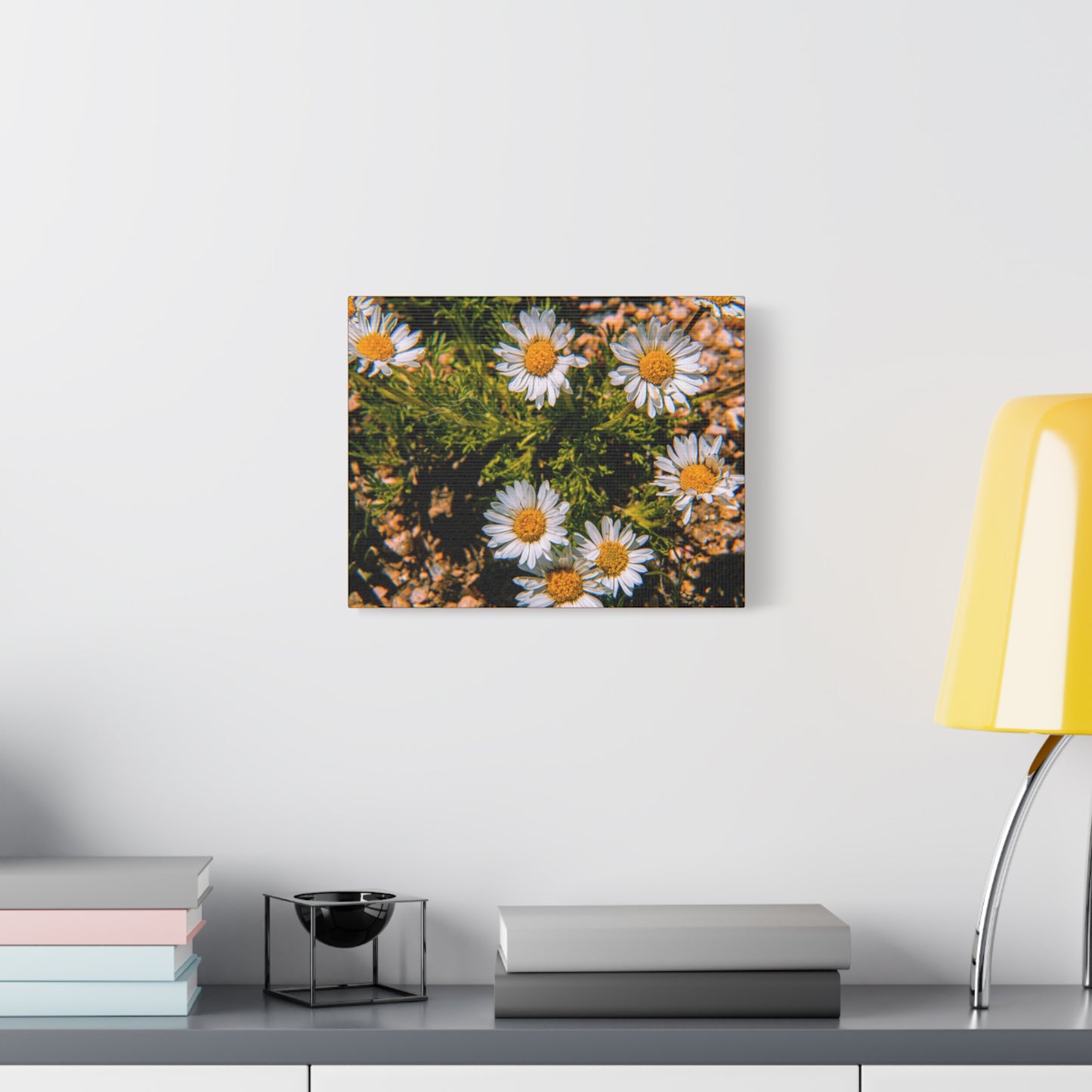 Wild Daisy Canvas
