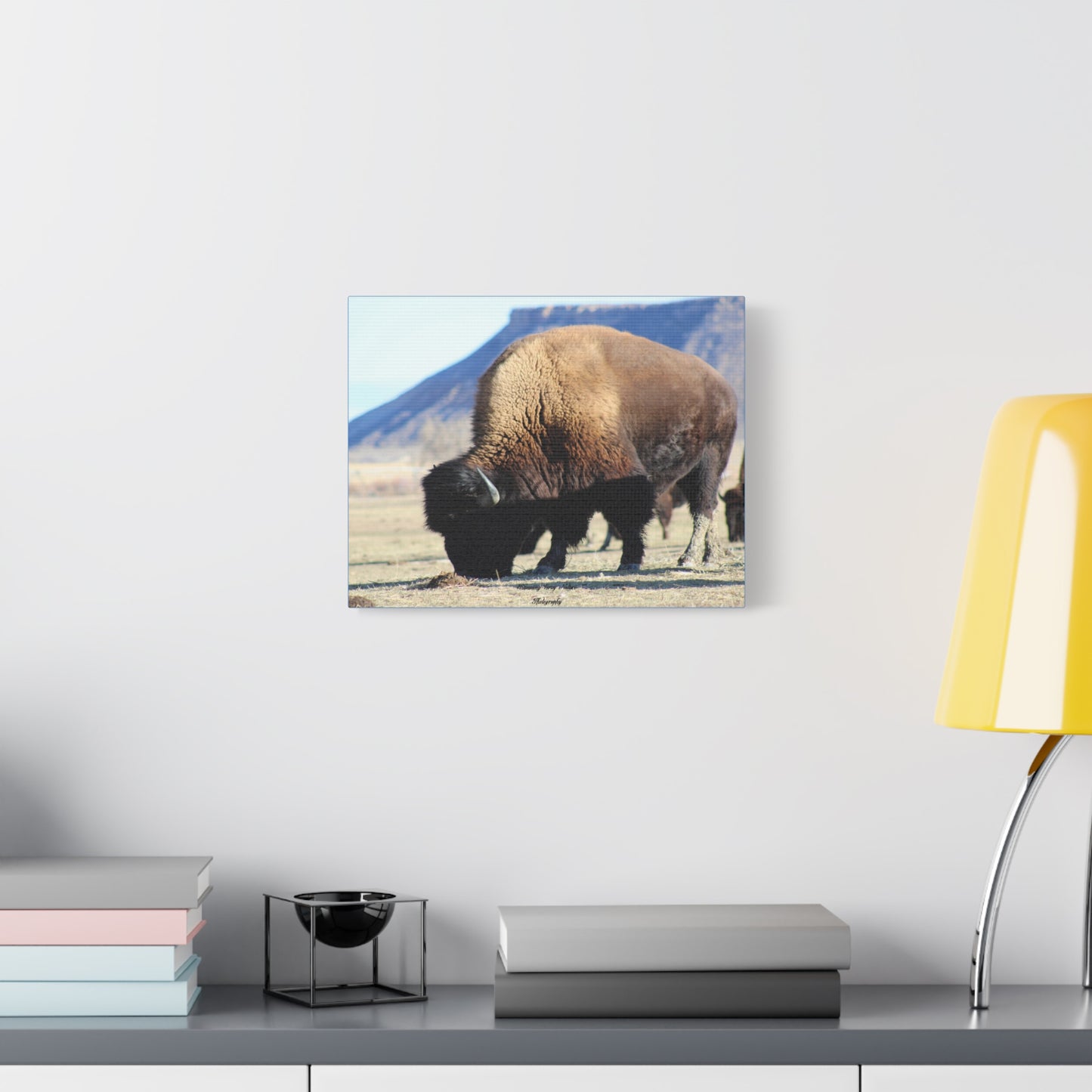 Big Daddy Buffalo Matte Canvas, Stretched, 1.25"