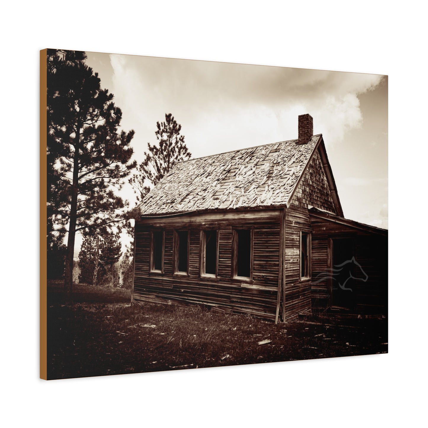 Rustic Bunk House Canvas