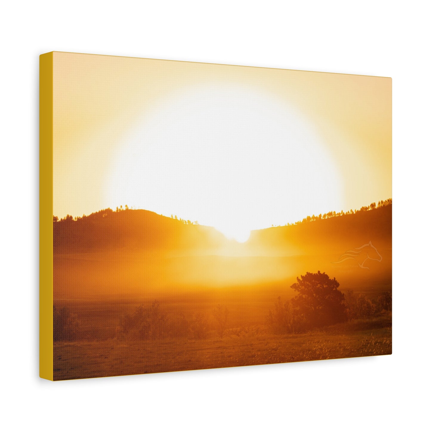 Buffalo Round Up Sunrise Canvas