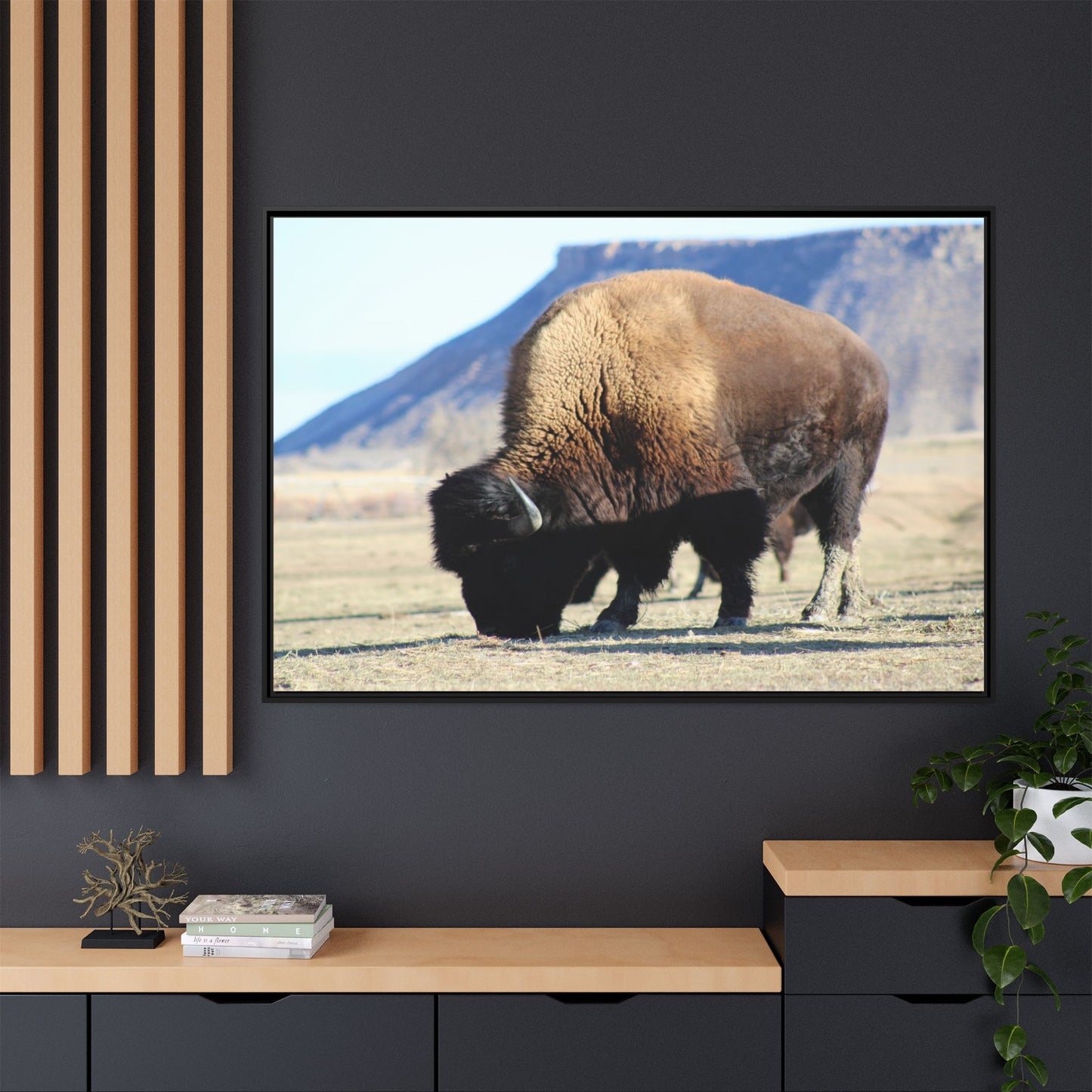 Big Daddy Buffalo Framed Canvas