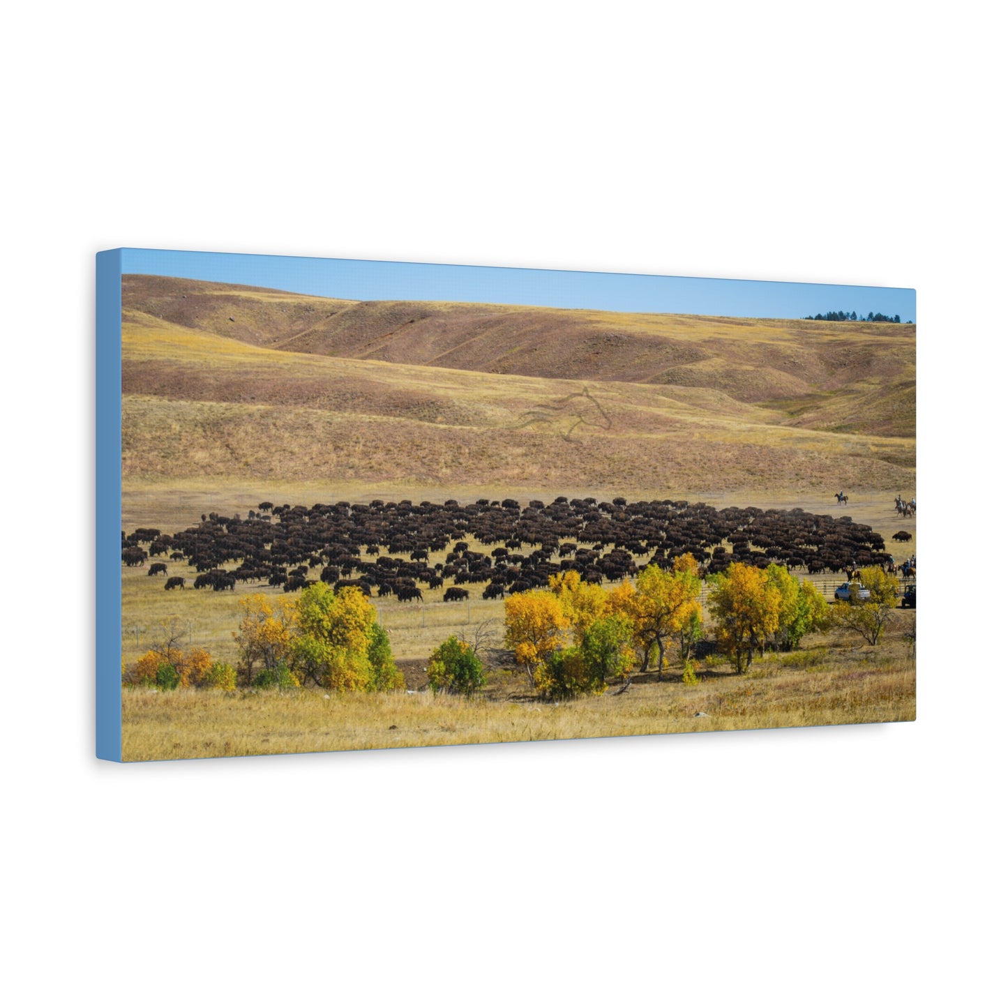 Final look Buffalo Round Up