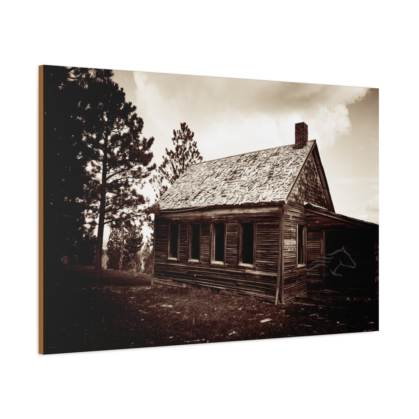 Rustic Bunk House Canvas