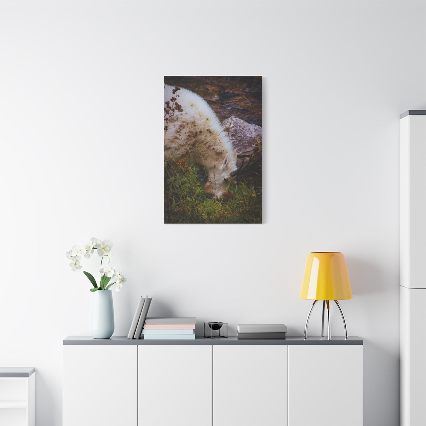 Mountain Goat Canvas