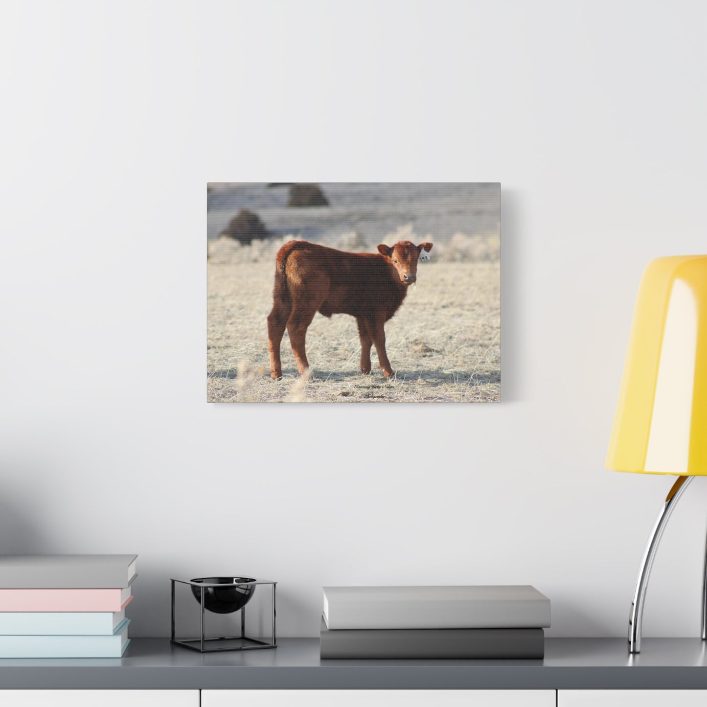 Baby Calf 198 Matte Canvas, Stretched, 1.25"