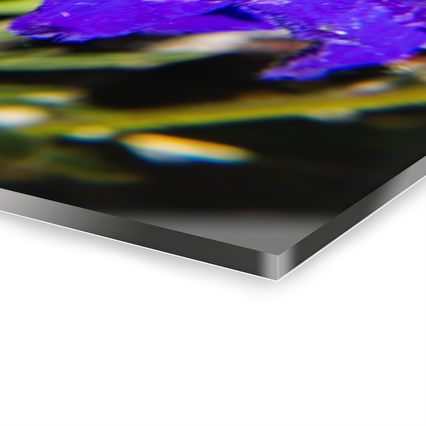 Royal Larkspar Acrylic