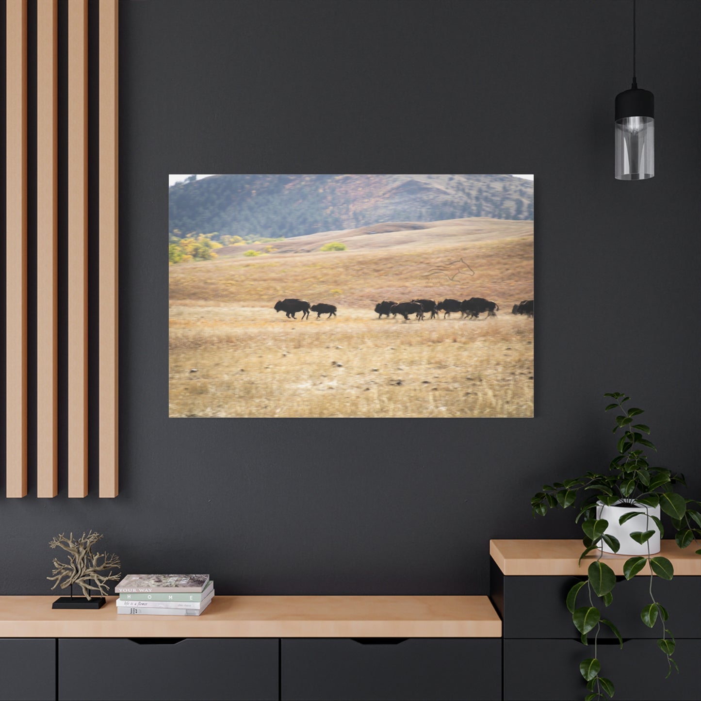 Beginning Buffalo Herd Canvas