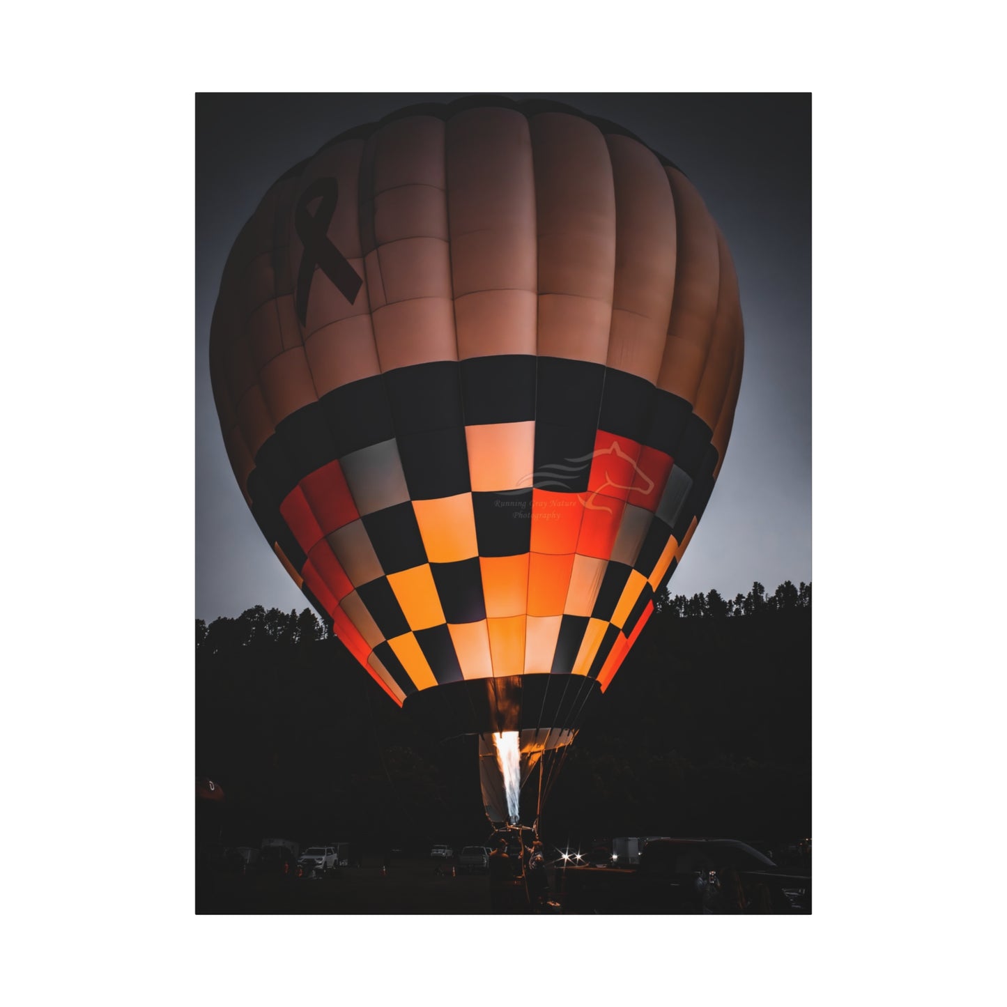 Hot Air Balloon Canvas