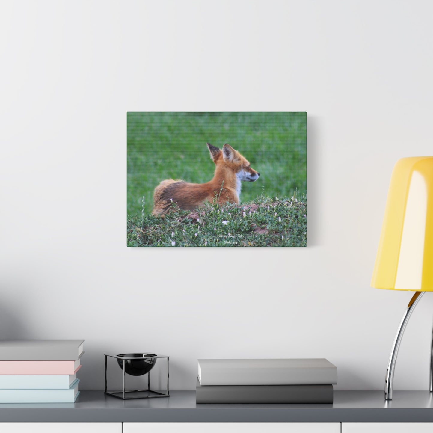 Red Tail Fox Matte Canvas, Stretched, 1.25"