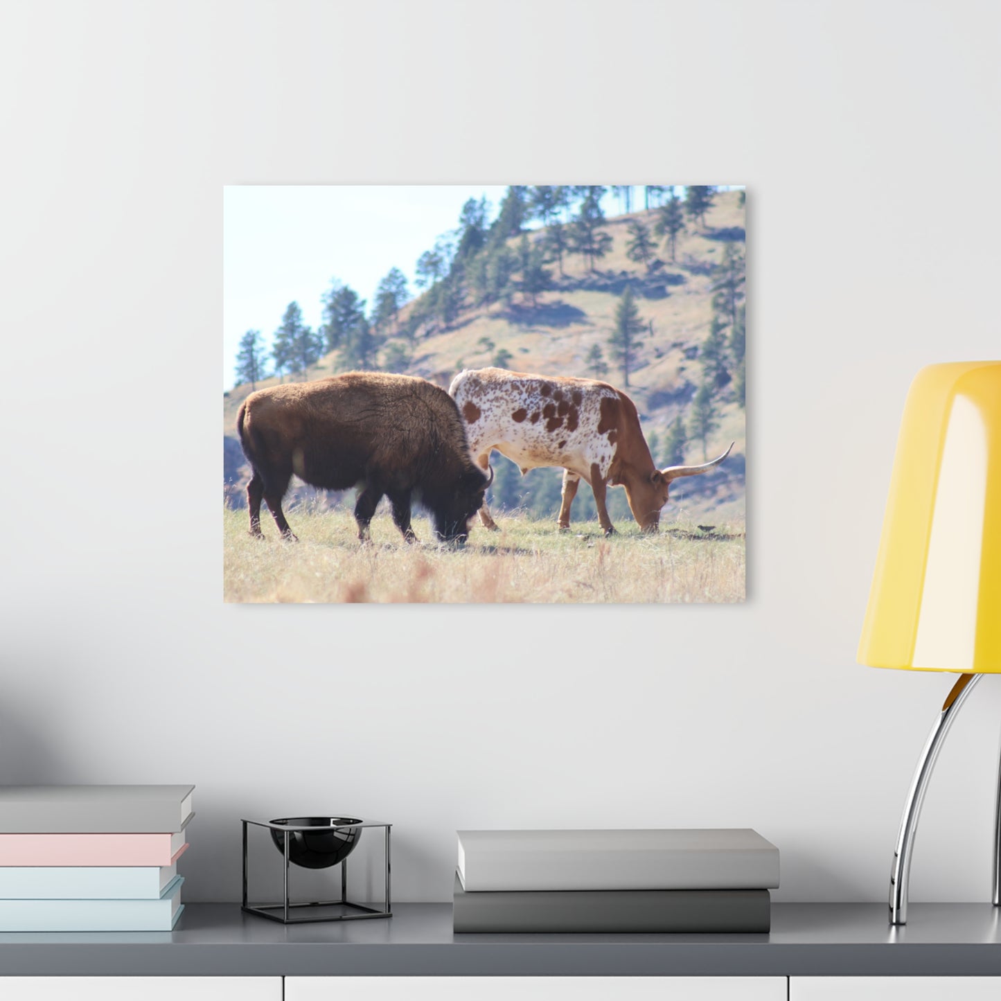 Long Horn and Buffalo Acrylic