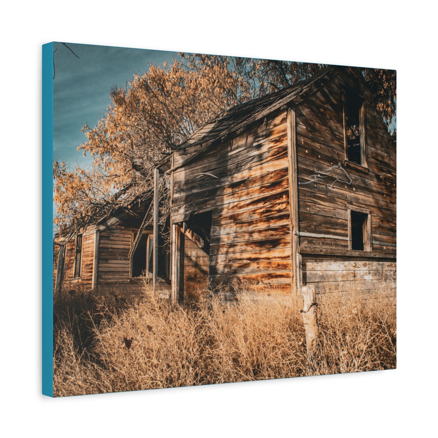 Vintage Cottage Canvas