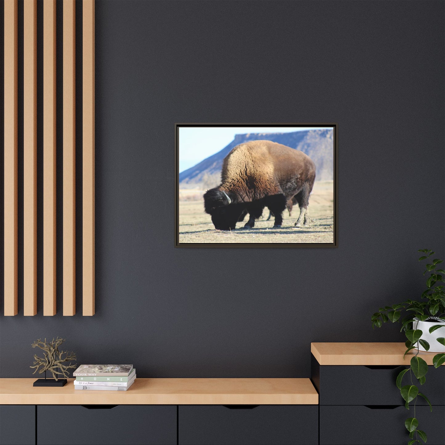 Big Daddy Buffalo Framed Canvas
