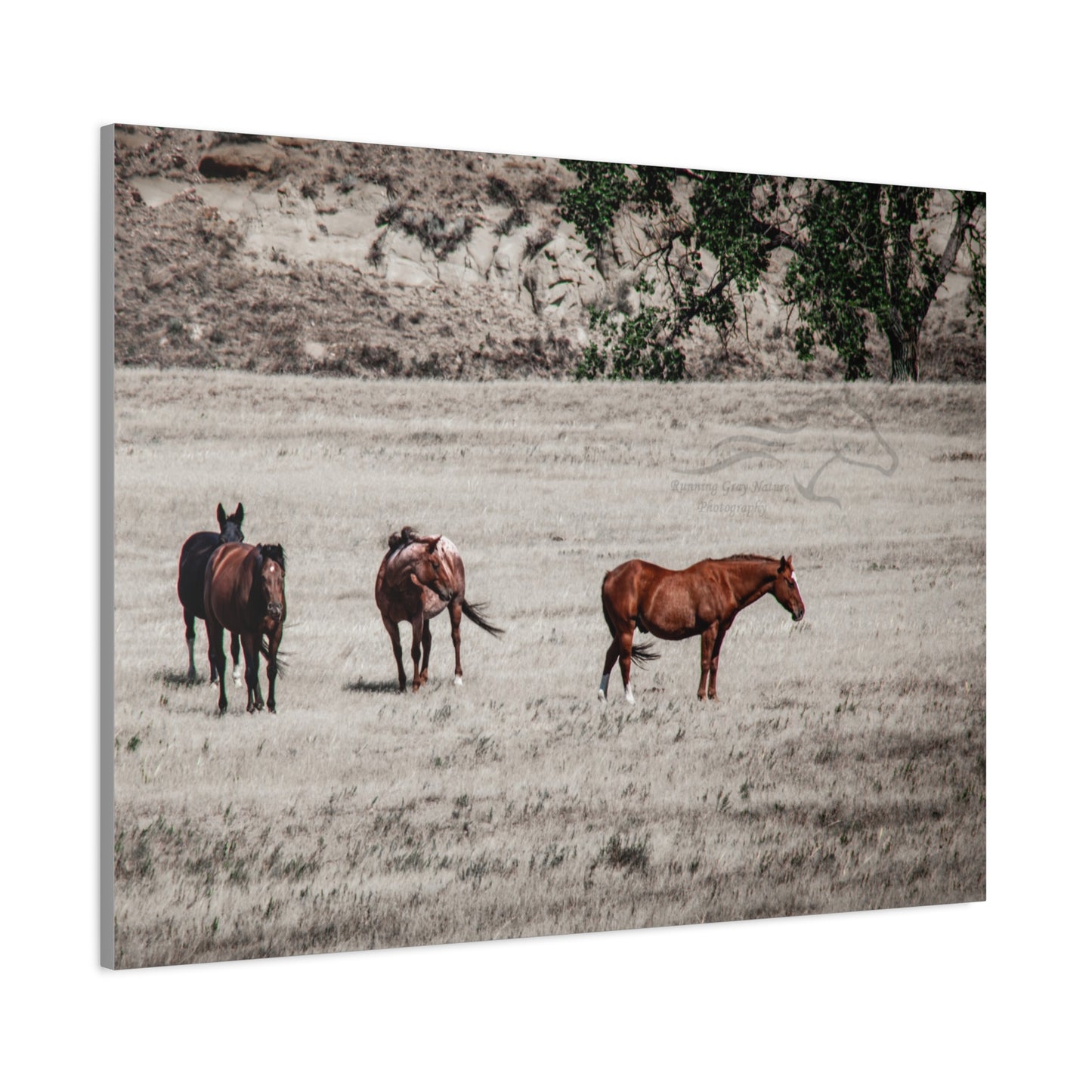 Not everything is Black and White