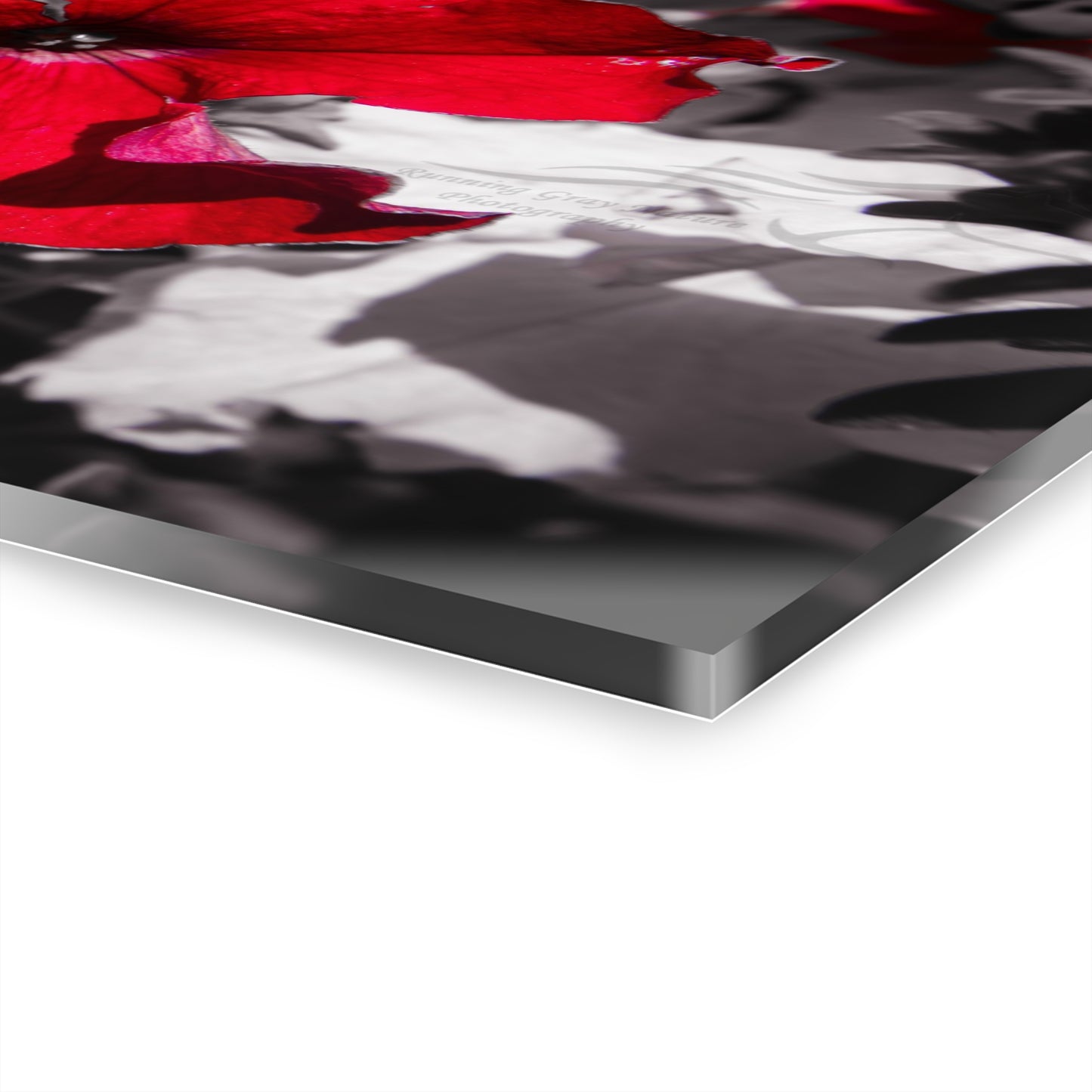 Black and Red Flower Acrylic