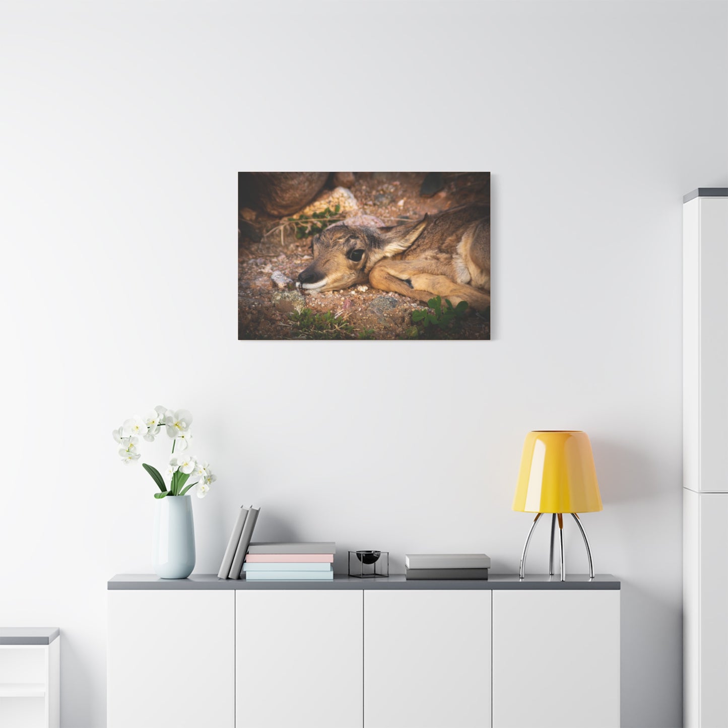 Baby Antelope Canvas