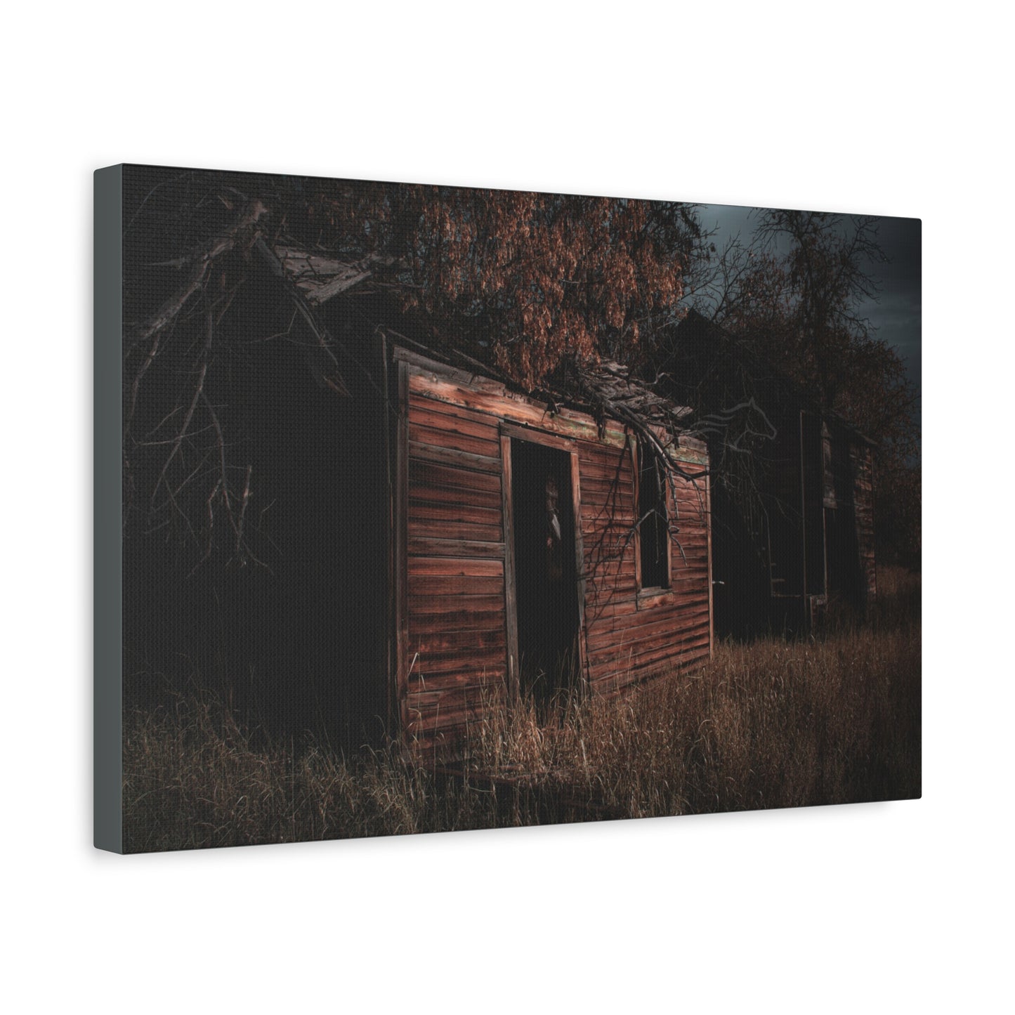 Haunting Rustic Canvas