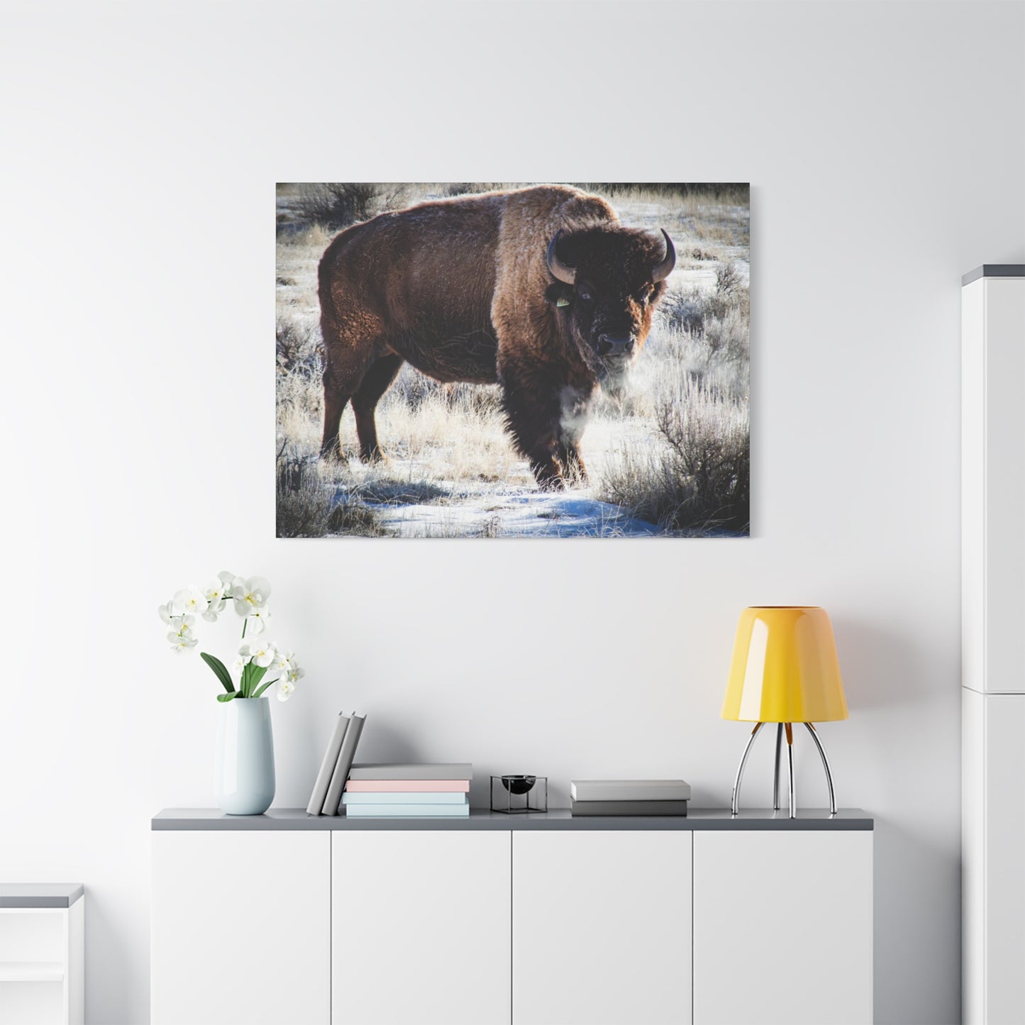 Early Morning Buffalo Canvas