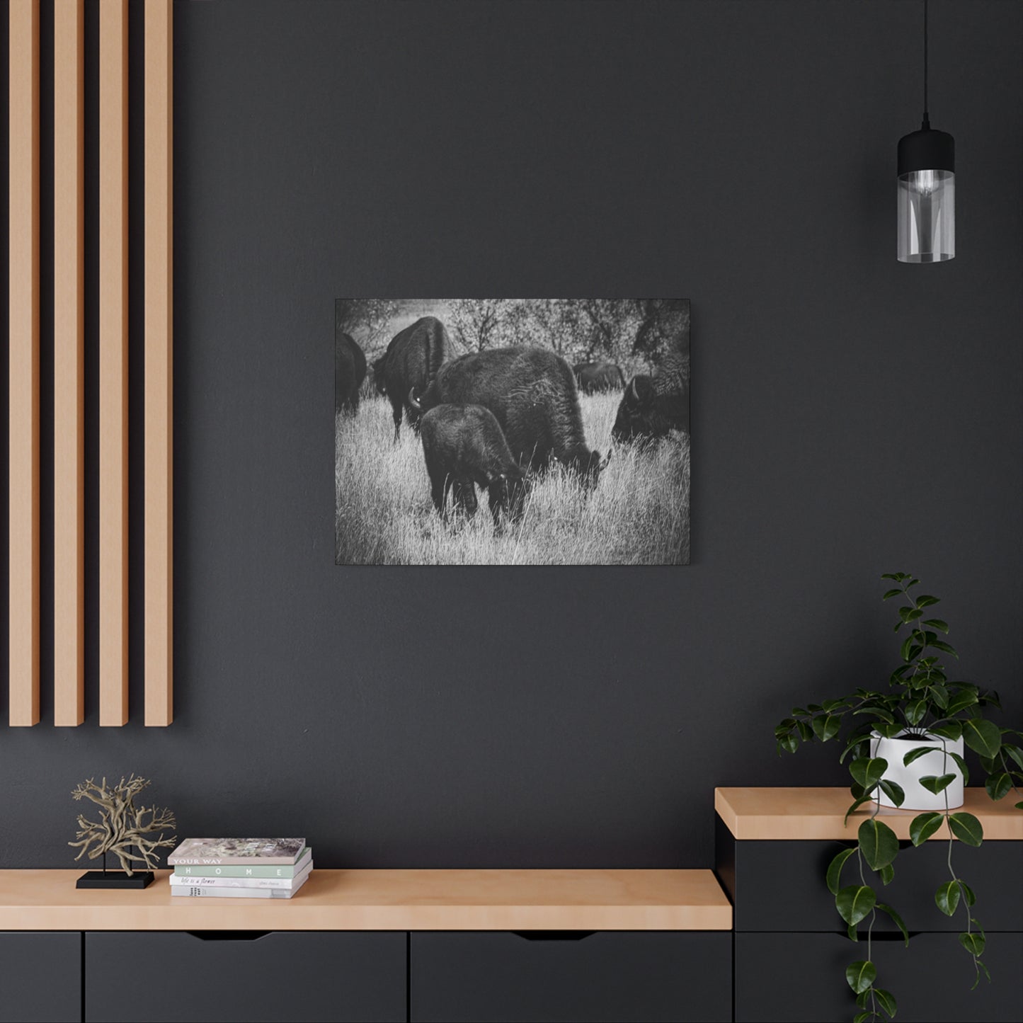 Black and White Buffalo Canvas