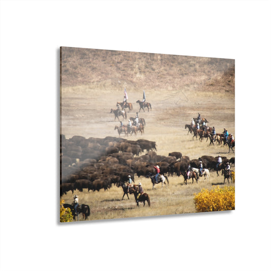 Cowboys and Buffalo Acrylic