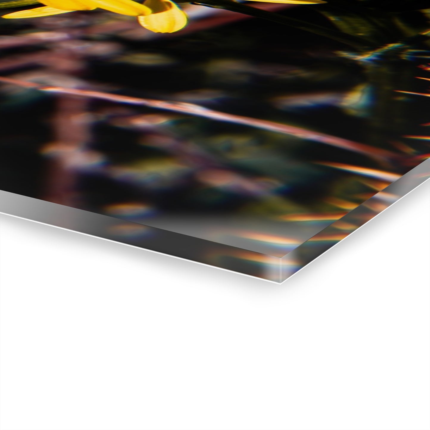 Butterfly Bloom Acrylic