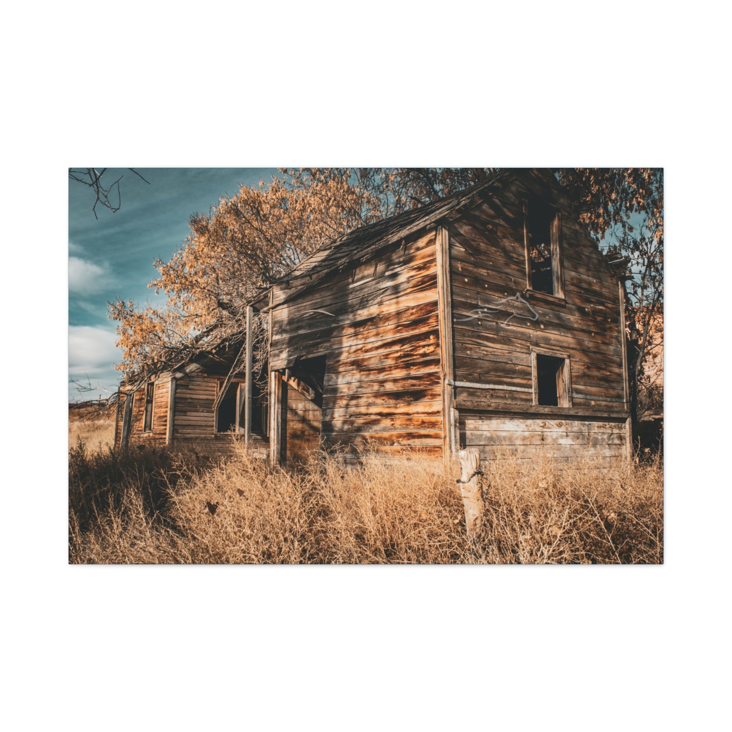 Vintage Cottage Canvas