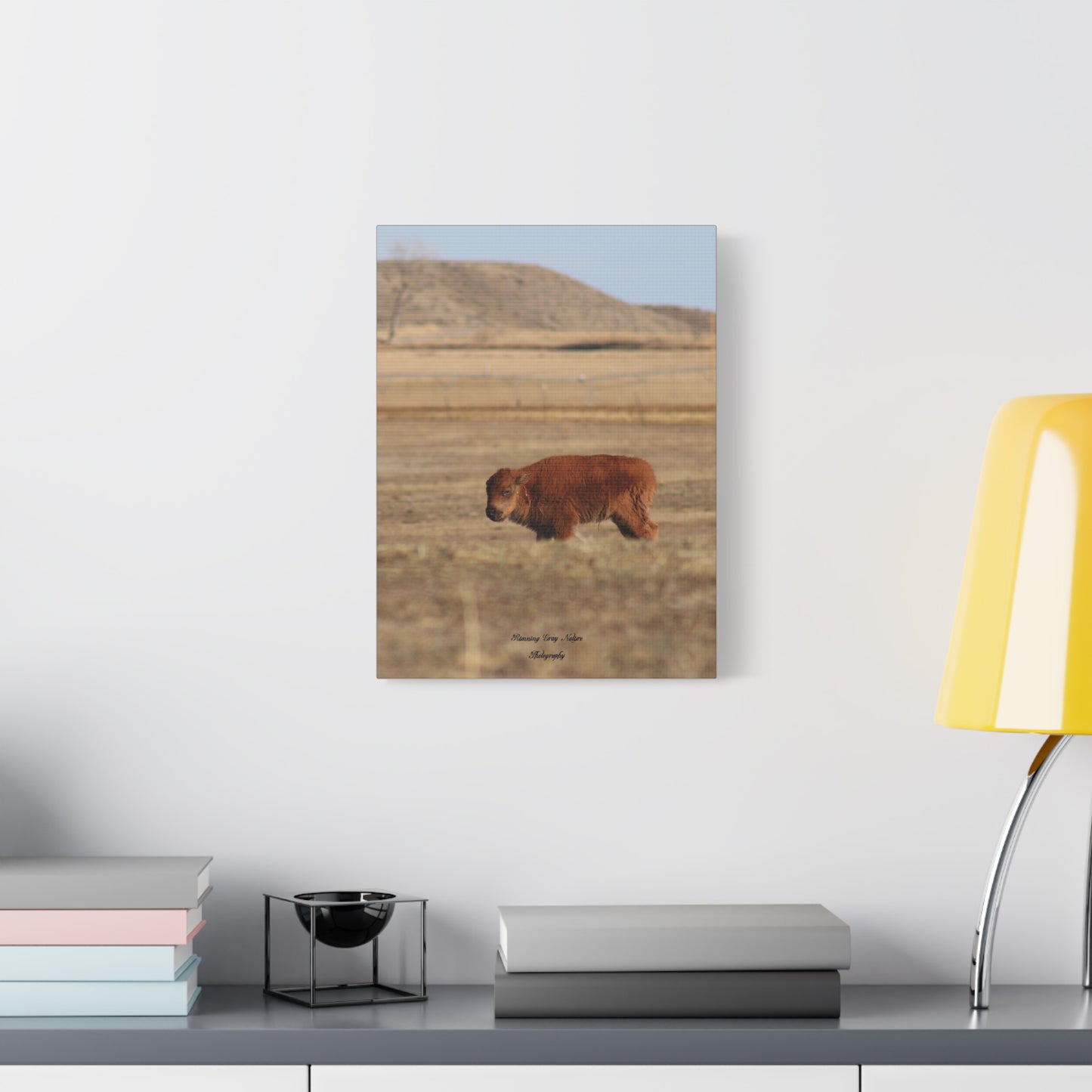 Baby Buffalo Matte Canvas, Stretched, 1.25"