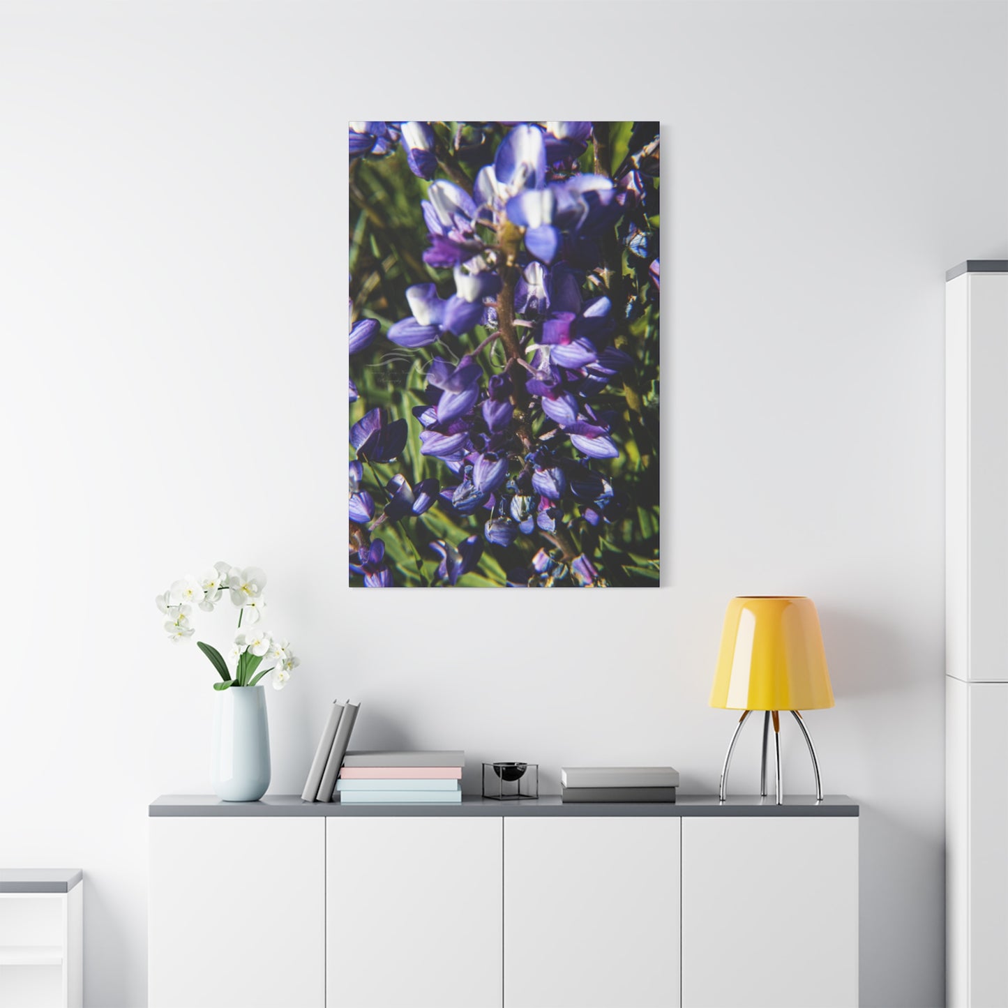 Arctic Lupine Canvas