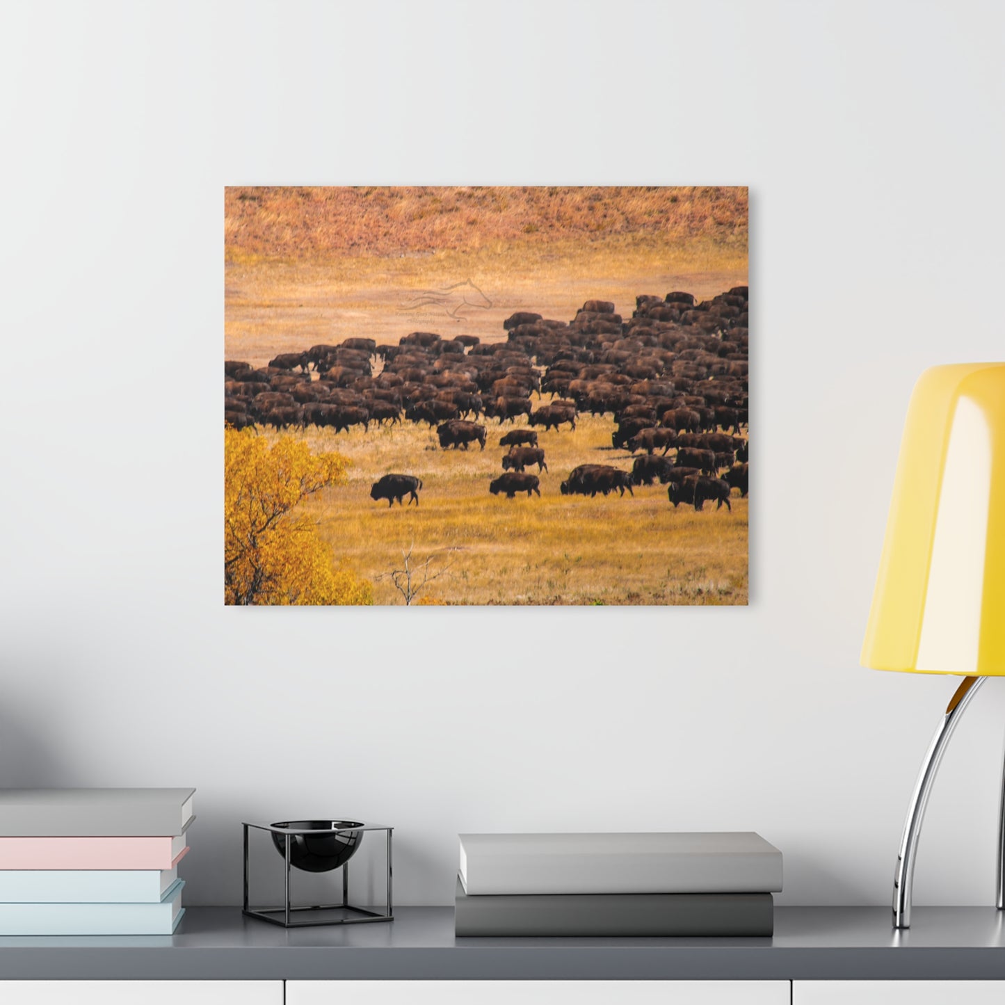 Buffalo all Gathered Acrylic