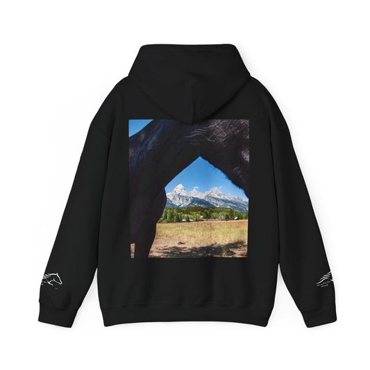 Mountain View Hoodie