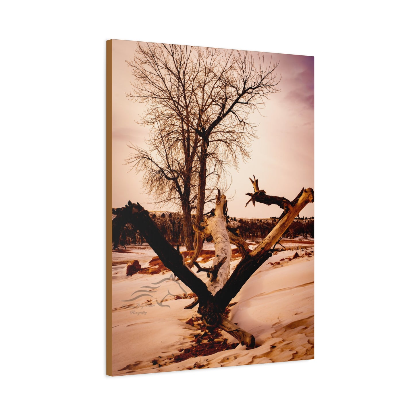 Rustic Landscape Canvas
