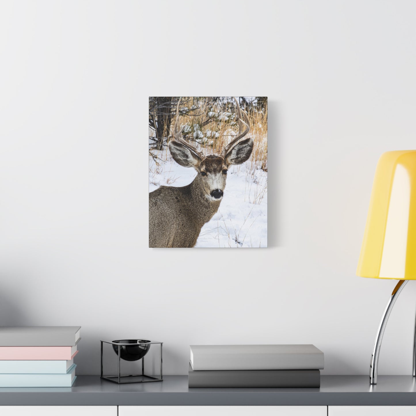 Deer Antlers in February Canvas