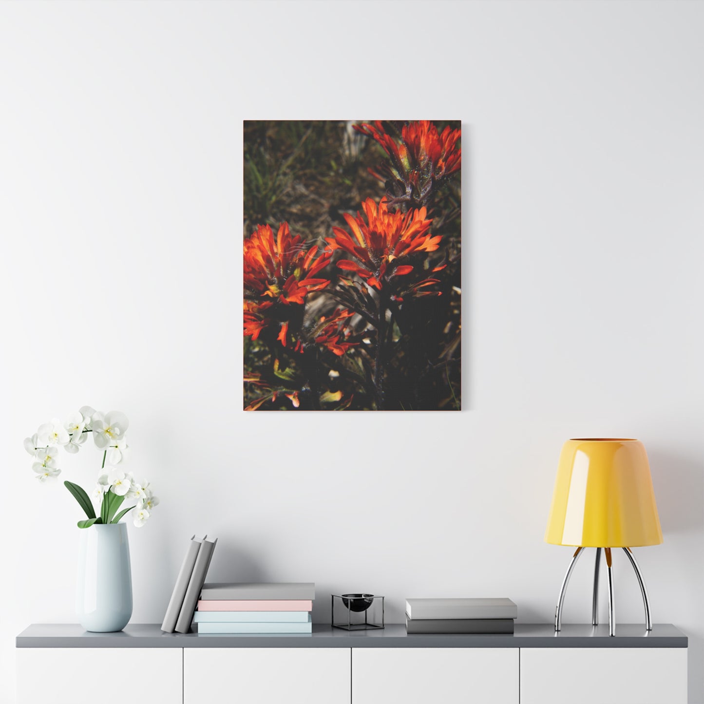 Indian Paint Brush Canvas