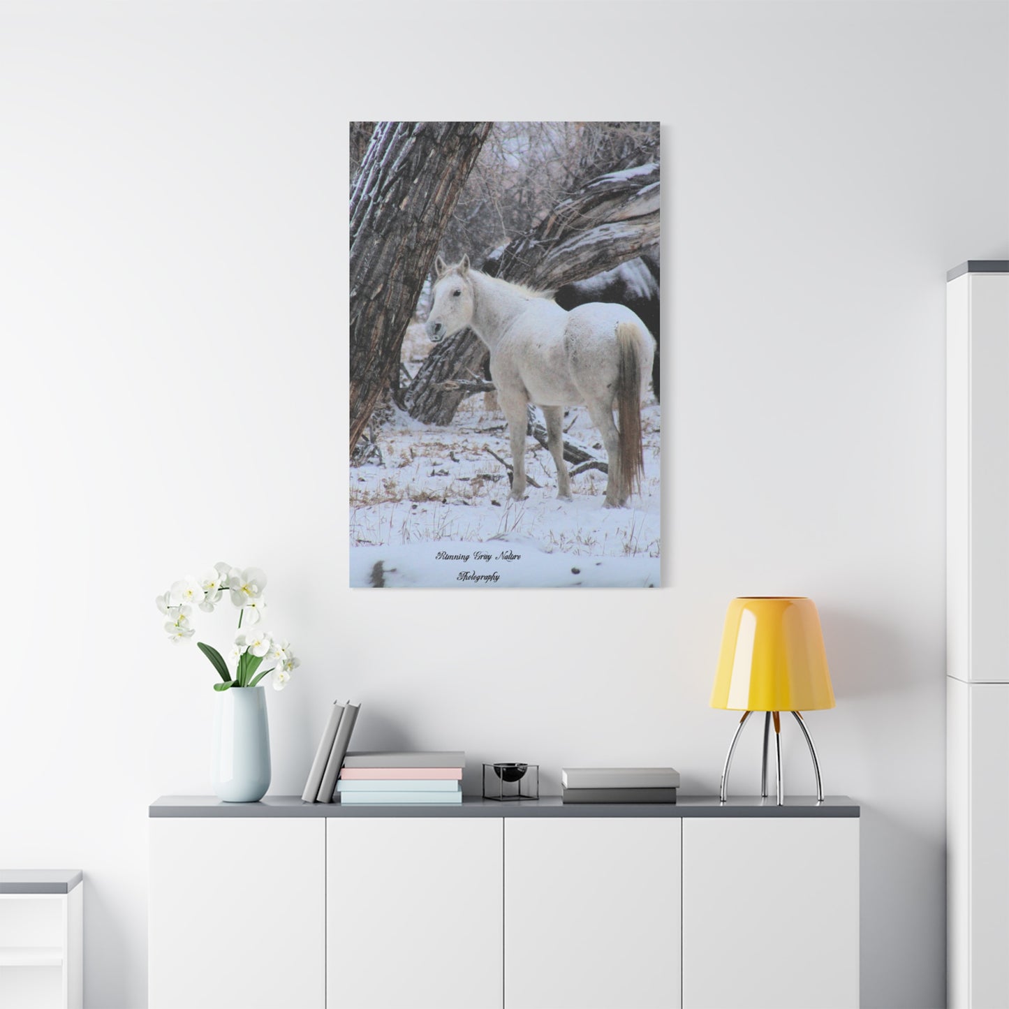 Winter White Horse Matte Canvas, Stretched, 1.25"