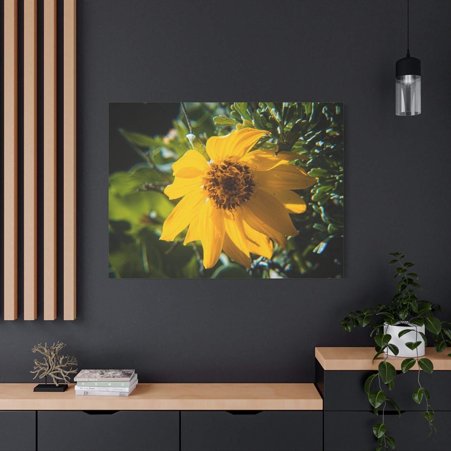Arrowleaf Balsamroot Canvas