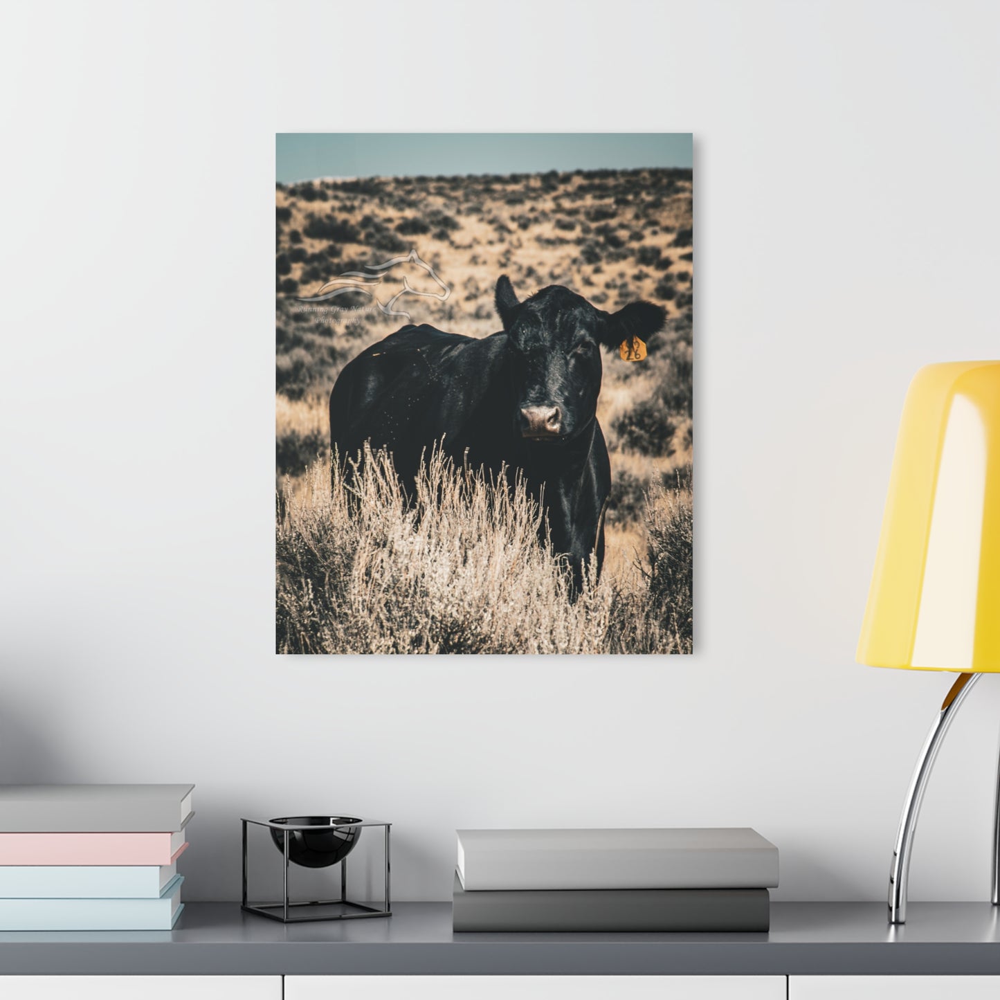 Black Angus Momma Acrylic