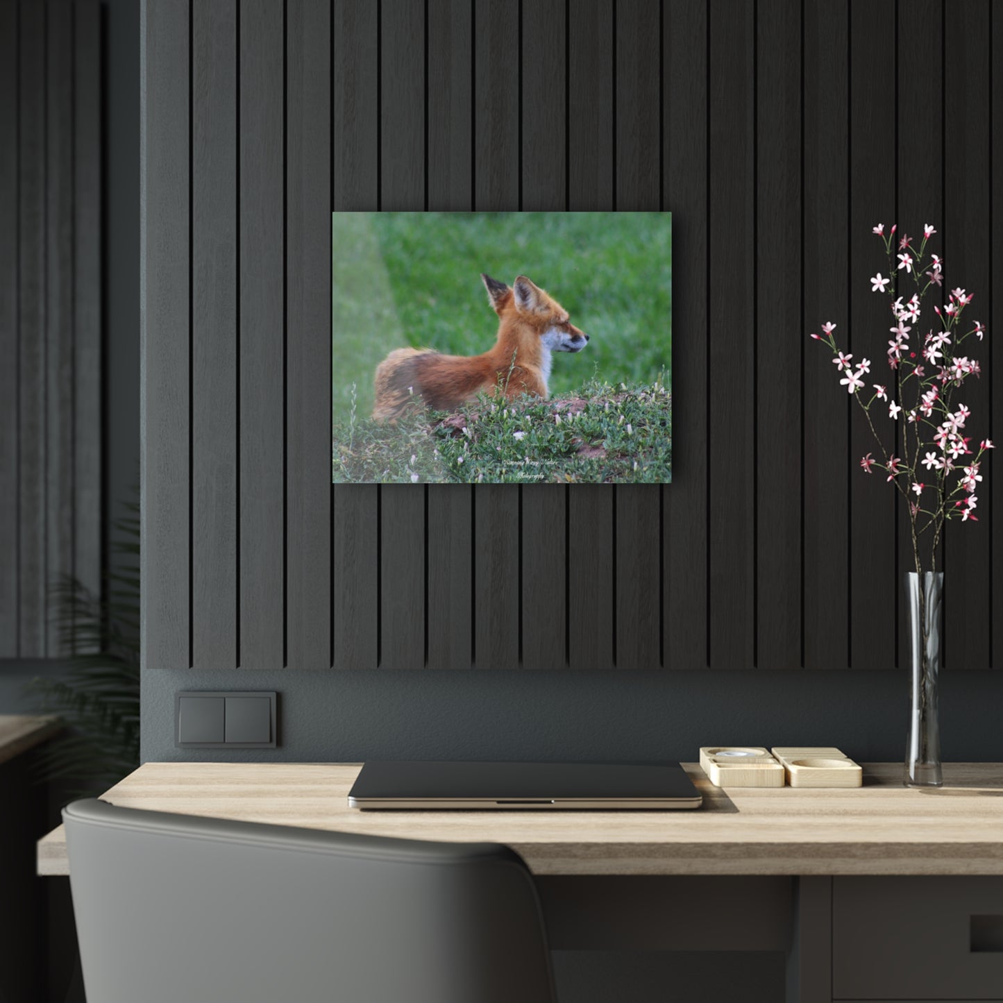 Red Tail Fox Acrylic Prints