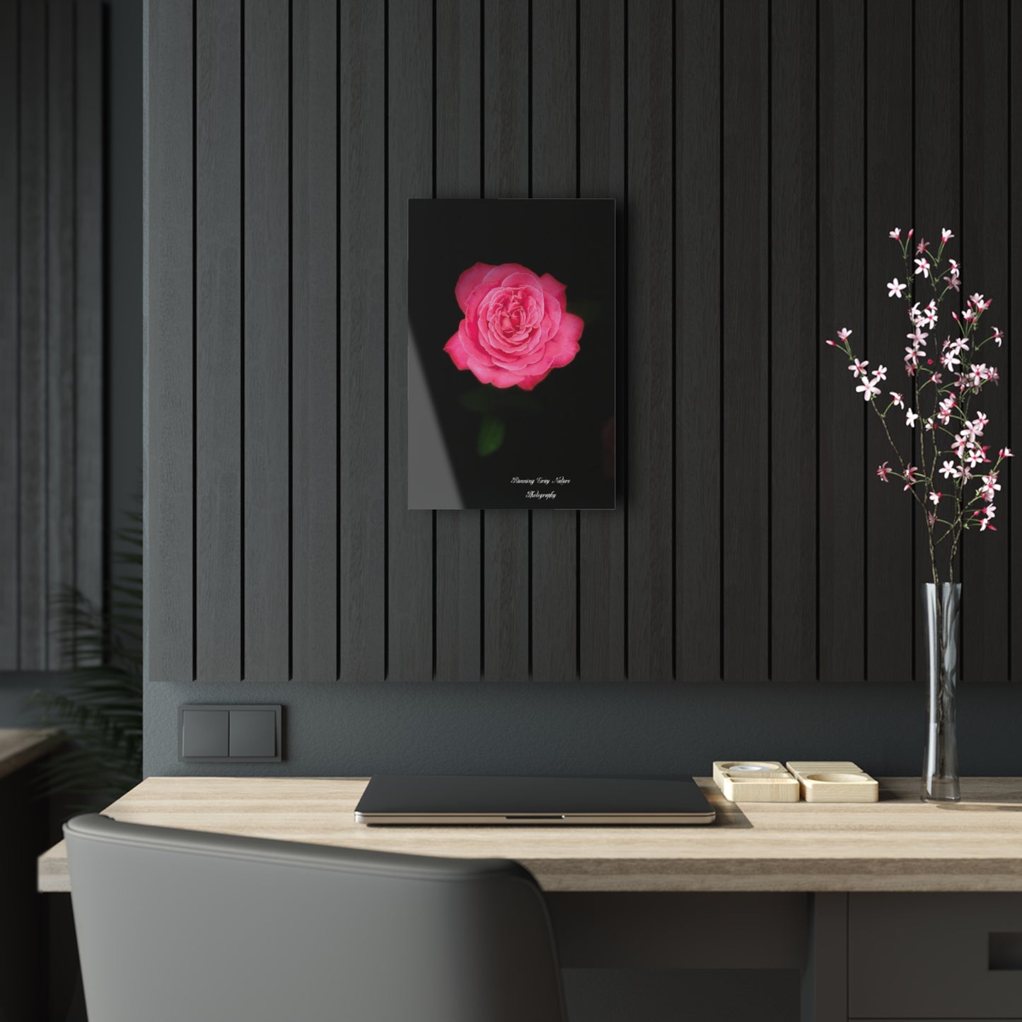 Pink Peace Rose Acrylic Prints